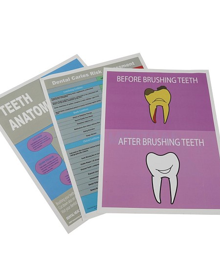 Generic Dentist Posters  Priced Individually